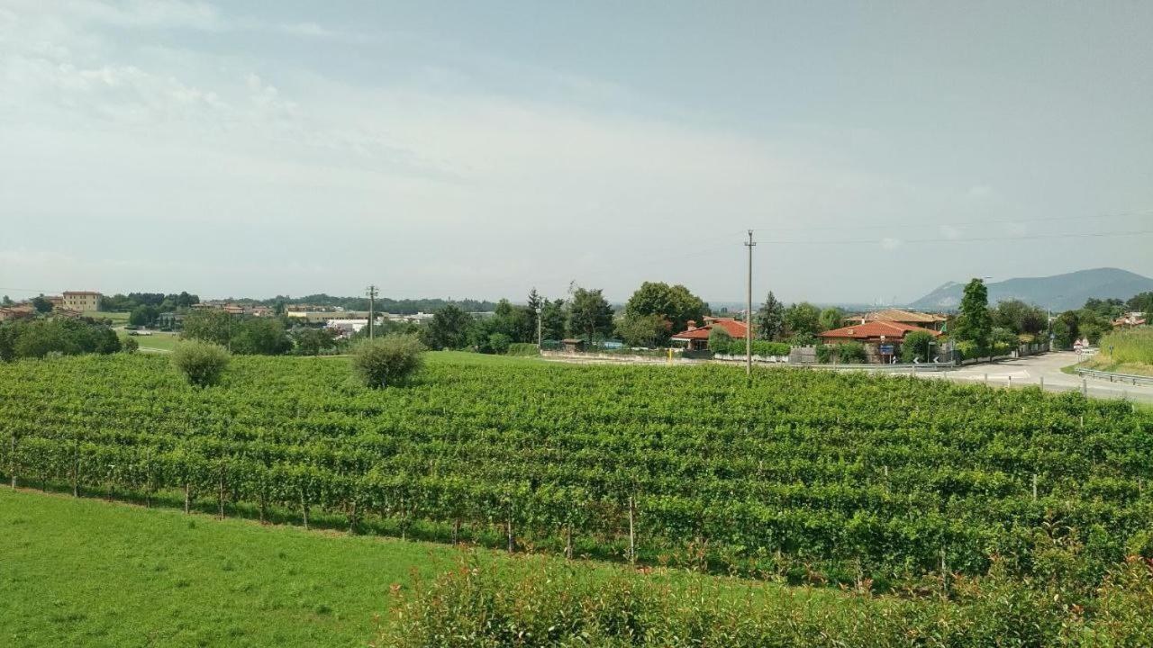 Camere In Collina Muscoline المظهر الخارجي الصورة